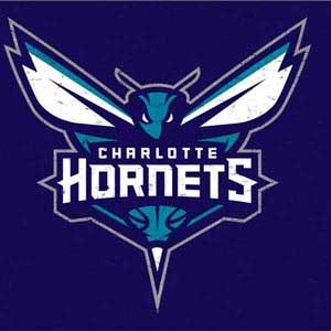 NBA Charlotte Hornets Distressed-Purple 3DS (2011) Skin