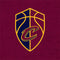 NBA Cleveland Cavaliers Distressed Studio Wireless 3 Skin