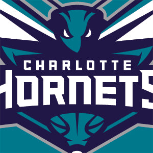 NBA Charlotte Hornets Large Logo Wii (Includes 1 Controller) Skin