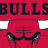 NBA Chicago Bulls Large Logo iPhone XS Clear Case