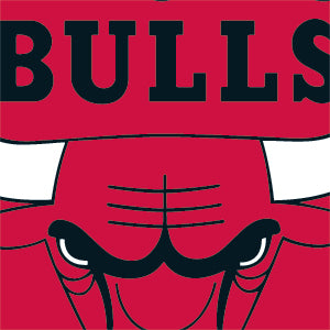 NBA Chicago Bulls Large Logo Xbox 360 (Includes HDD) Skin