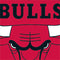 NBA Chicago Bulls Large Logo Wii (Includes 1 Controller) Skin