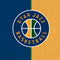 NBA Utah Jazz Split Canvas Surface Pro (2017) Skin