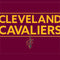 NBA Cleveland Cavaliers Standard - Maroon Fire TV Cube Skin