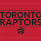 NBA Toronto Raptors Standard - Red Fire TV Cube Skin