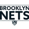 NBA Brooklyn Nets Standard - White Fire TV Cube Skin