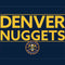 NBA Denver Nuggets Standard - Light Blue Fire TV Cube Skin