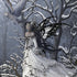 Fairy with Owl in Snow by Nene Thomas iPhone 14 Pro Folio Case