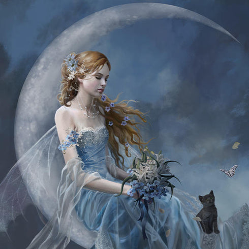 Fairy with Black Cat Sitting on Moon by Nene Thomas AWS DeepRacer Skin