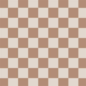 Neutral Checkered Wii (Includes 1 Controller) Skin