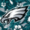 NFL Philadelphia Eagles Tropical Print Wii (Includes 1 Controller) Skin