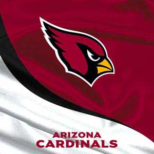 NFL Arizona Cardinals Google Home Hub Skin