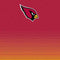 NFL Arizona Cardinals Breakaway Moto E5 Plus Skin