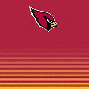 NFL Arizona Cardinals Breakaway Surface Book 2 15in Skin