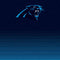 NFL Carolina Panthers Breakaway Wii (Includes 1 Controller) Skin