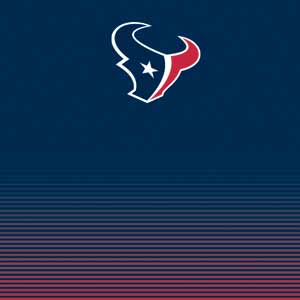 NFL Houston Texans Breakaway DS Lite Skin