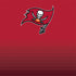 NFL Tampa Bay Buccaneers Breakaway iPhone XS Clear Case