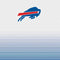 NFL Buffalo Bills Breakaway Xbox 360 (Includes HDD) Skin