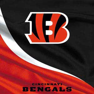 NFL Cincinnati Bengals Surface Pro 6 Skin