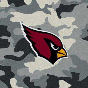 NFL Arizona Cardinals Camo Nintendo GameCube Controller Skin