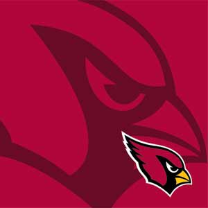 NFL Arizona Cardinals Double Vision Xbox 360 Slim (2010) Skin