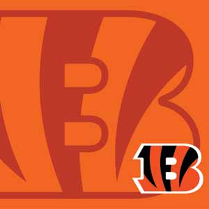 NFL Cincinnati Bengals Double Vision Fire TV Cube Skin