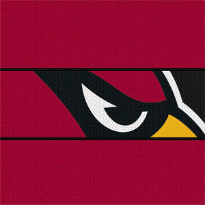 NFL Arizona Cardinals Zone Block Xbox 360 (Includes HDD) Skin
