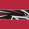 NFL Atlanta Falcons Zone Block Fire TV Cube Skin