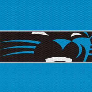 NFL Carolina Panthers Zone Block Apple AirPods 2 Skin