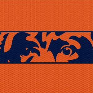 NFL Chicago Bears Zone Block Apple AirPods 2 Skin