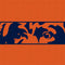 NFL Chicago Bears Zone Block Wii (Includes 1 Controller) Skin