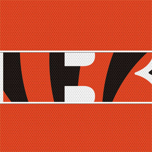 NFL Cincinnati Bengals Zone Block Wii (Includes 1 Controller) Skin
