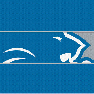 NFL Detroit Lions Zone Block Xbox 360 (Includes HDD) Skin