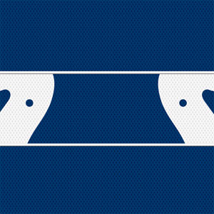 NFL Indianapolis Colts Zone Block Apple AirPods 2 Skin