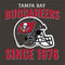 NFL Tampa Bay Buccaneers Helmet Studio Wireless Skin