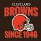 NFL Cleveland Browns Helmet Xbox Adaptive Controller Skin