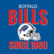 NFL Buffalo Bills Helmet Yoga 710 14in Skin