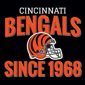 NFL Cincinnati Bengals Helmet Ativ Book 9 (15.6in 2014) Skin