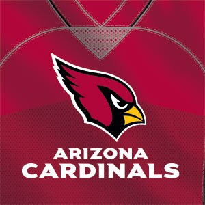 NFL Arizona Cardinals Team Jersey Fire TV Cube Skin