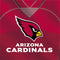 NFL Arizona Cardinals Team Jersey Apple AirPods 2 Skin