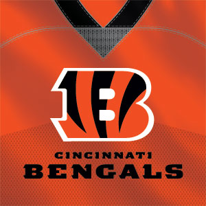 NFL Cincinnati Bengals Team Jersey Fire TV Cube Skin