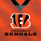 NFL Cincinnati Bengals Team Jersey Fire TV Cube Skin