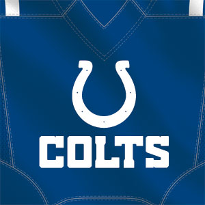 NFL Indianapolis Colts Team Jersey Wii (Includes 1 Controller) Skin