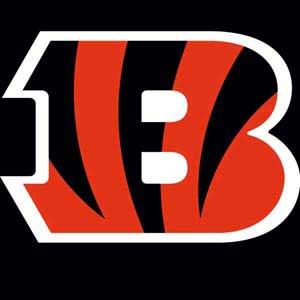 NFL Cincinnati Bengals Large Logo Nintendo 2DS Skin