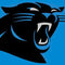 NFL Carolina Panthers Large Logo Xbox 360 Slim (2010) Skin