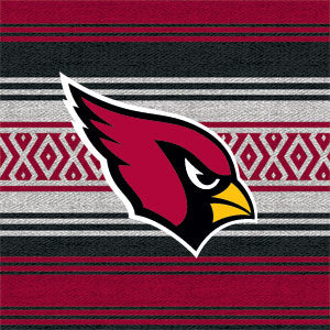 NFL Arizona Cardinals Trailblazer Xbox 360 Slim (2010) Skin