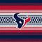 NFL Houston Texans Trailblazer Playstation 3 & PS3 Slim Skin