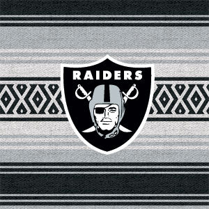 NFL Las Vegas Raiders Trailblazer Fire TV Cube Skin