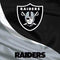 NFL Las Vegas Raiders Beats Solo 2 Wired Skin