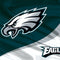 NFL Philadelphia Eagles Wii U (Console + 1 Controller) Skin